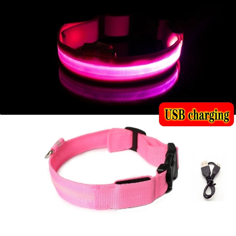 Collier lumineux LED pour chien