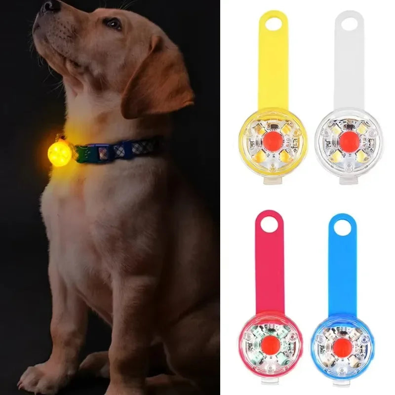 Pendentif Lumineux Anti-Perte pour Chiens & Chats – Sécurité et visibilité 24h/24