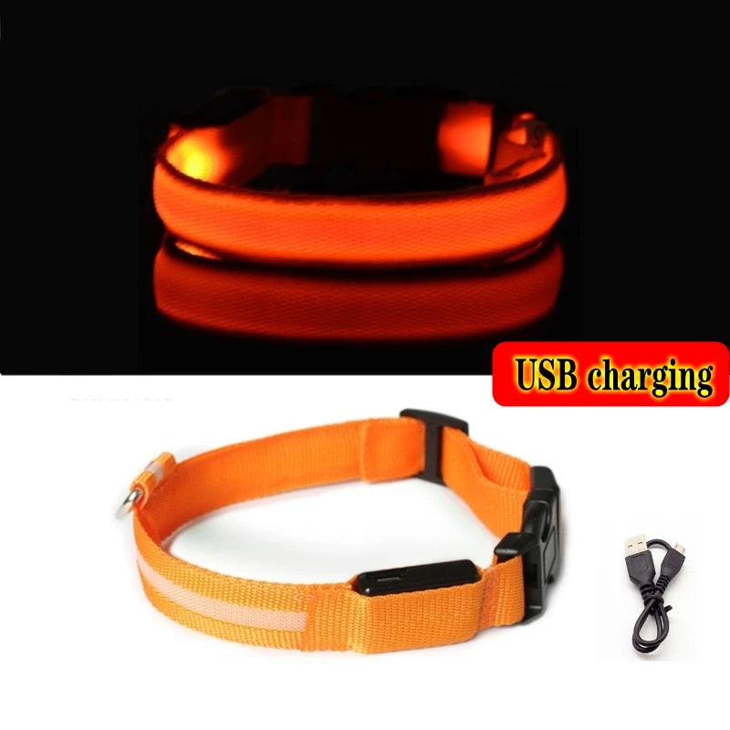 Collier lumineux LED pour chien