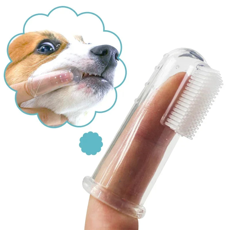 Brosse à dent pour chien