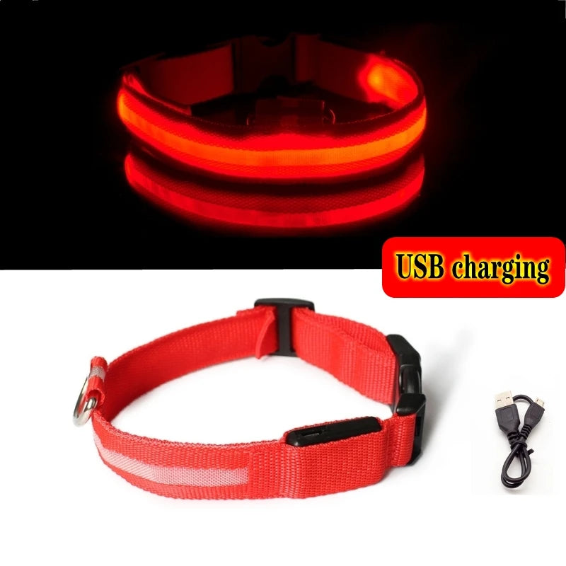 Collier lumineux LED pour chien