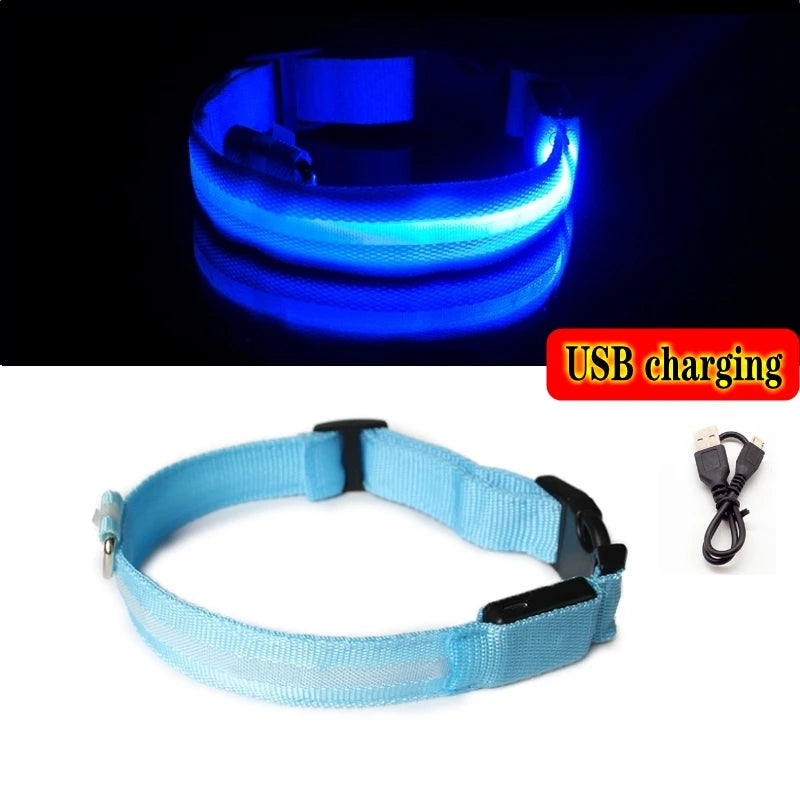 Collier lumineux LED pour chien