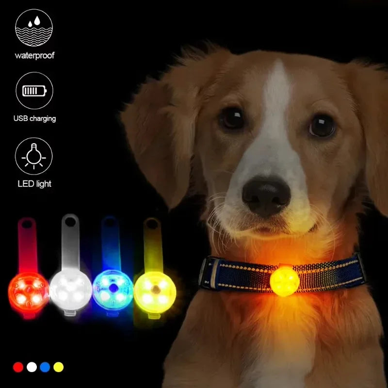 Pendentif Lumineux Anti-Perte pour Chiens & Chats – Sécurité et visibilité 24h/24